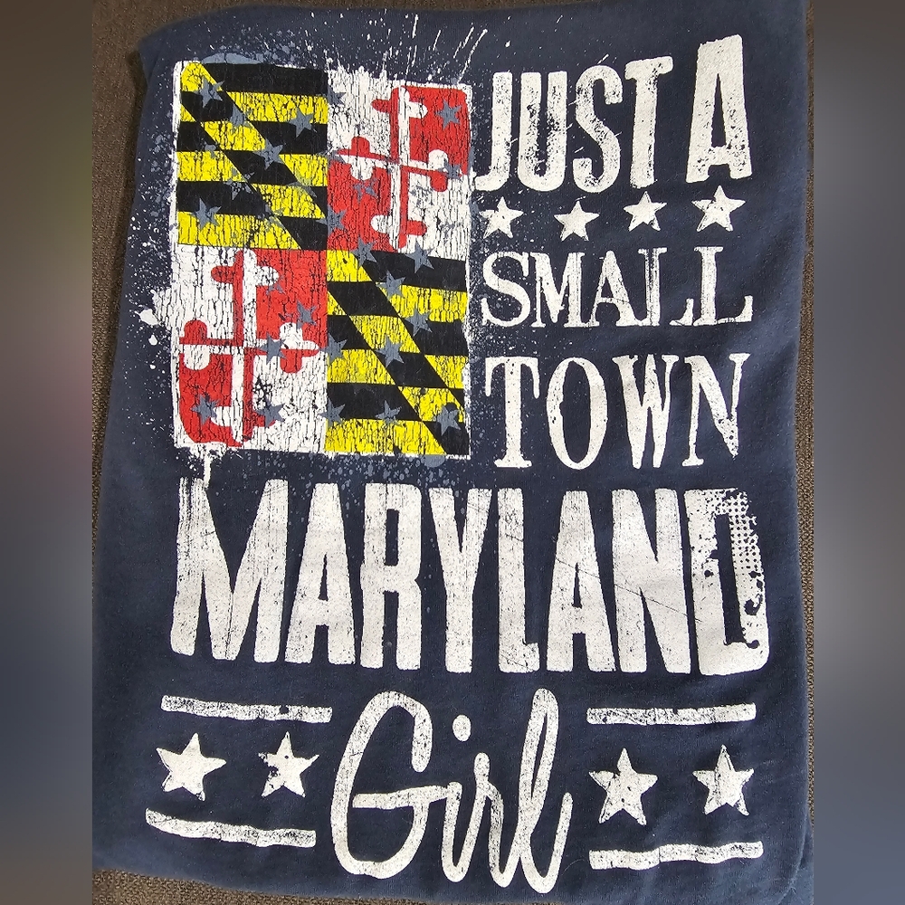 Maryland Flag Graphic Tee